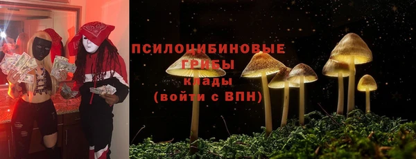 экстази Алексеевка