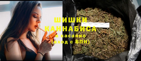 ПСИЛОЦИБИНОВЫЕ ГРИБЫ Алзамай