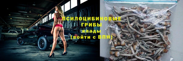 ПСИЛОЦИБИНОВЫЕ ГРИБЫ Алзамай