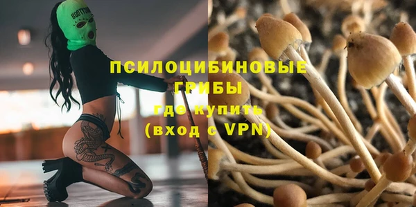 мескалин Алексин